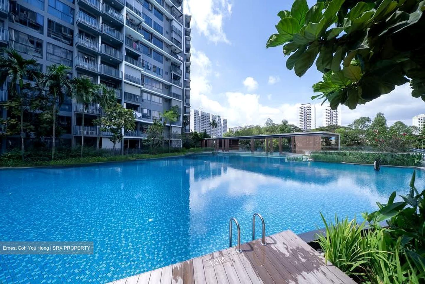 Grandeur Park Residences (D16), Condominium #561771611